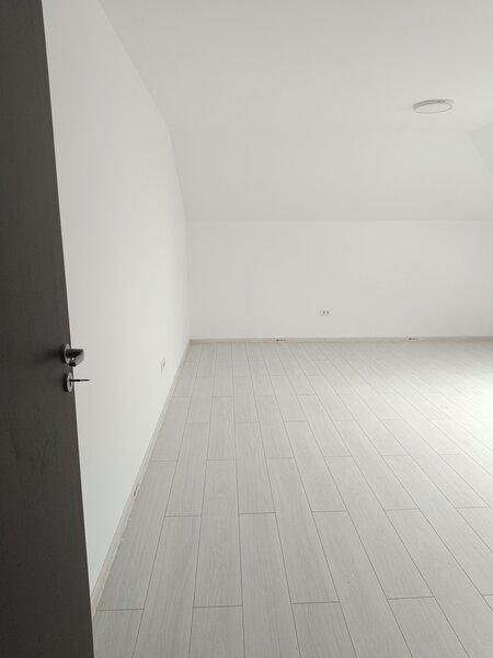 Giurgiului, Baciului,